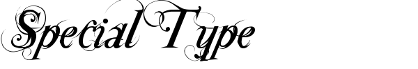 Special Type font preview